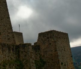 DSC_2627_DxO